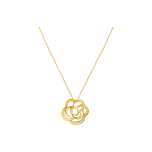 dm 20260330165749 001