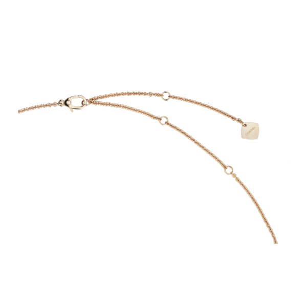 dm 20260330170246 004