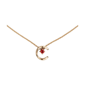 dm 20260330170307 001