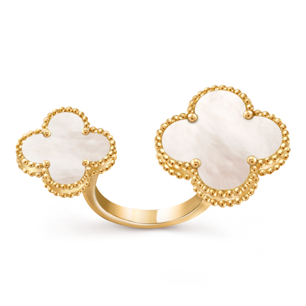 vcarn05500 (3)
