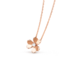 vcarpfbm00 (2)