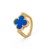 vcarpgv100 (1)