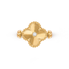 vcarpgv100 (2)