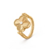 vcarpgv100 (4)