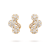 vcarpjkg00 (1)