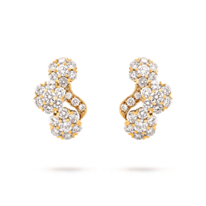 vcarpjkg00 (1)