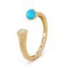 vcarpmnb00 (1)