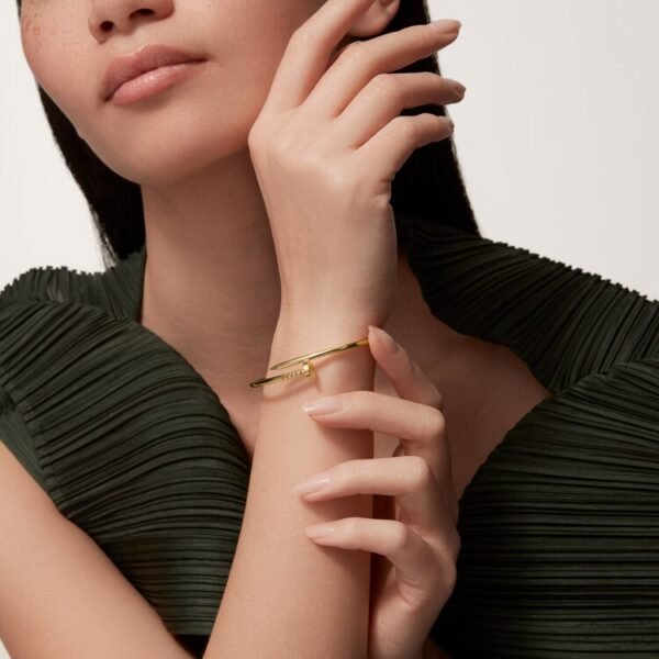 cartier juste un clou bracelet, 18k yellow gold, small/mini model, width 2.5 mm